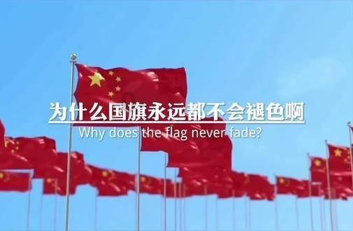 一开年,佘诗曼就给内娱上了一课,苑琼丹的话,终于有人信了