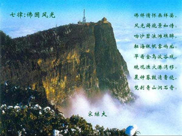最近皮肤对花粉过敏该怎么办？游戏画面
